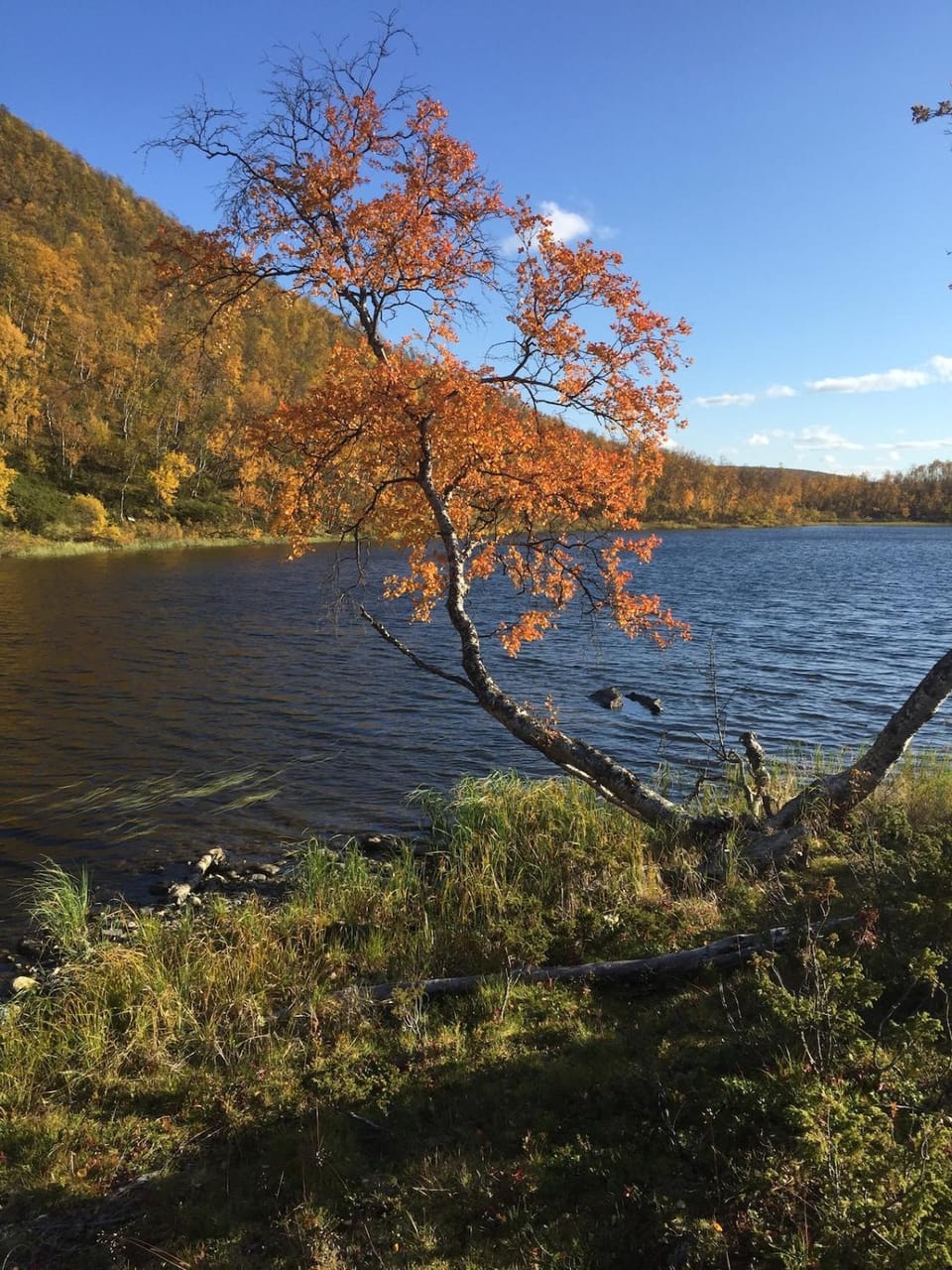 Day, Lake view