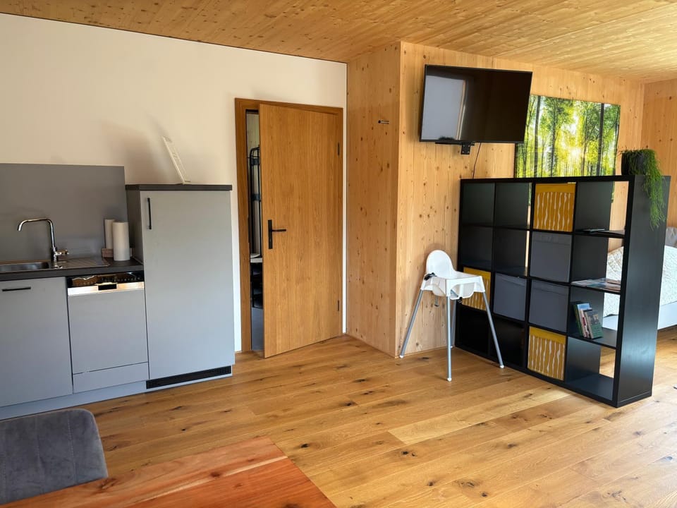 Bed, TV and multimedia, Kitchen or kitchenette, Living room