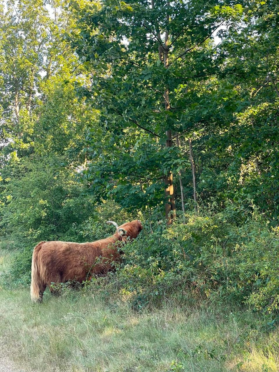 Natural landscape