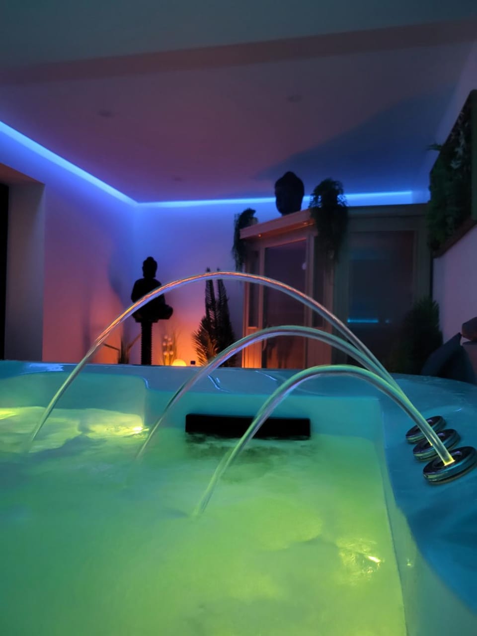 Alsace Spa Privé Apartment in Haguenau