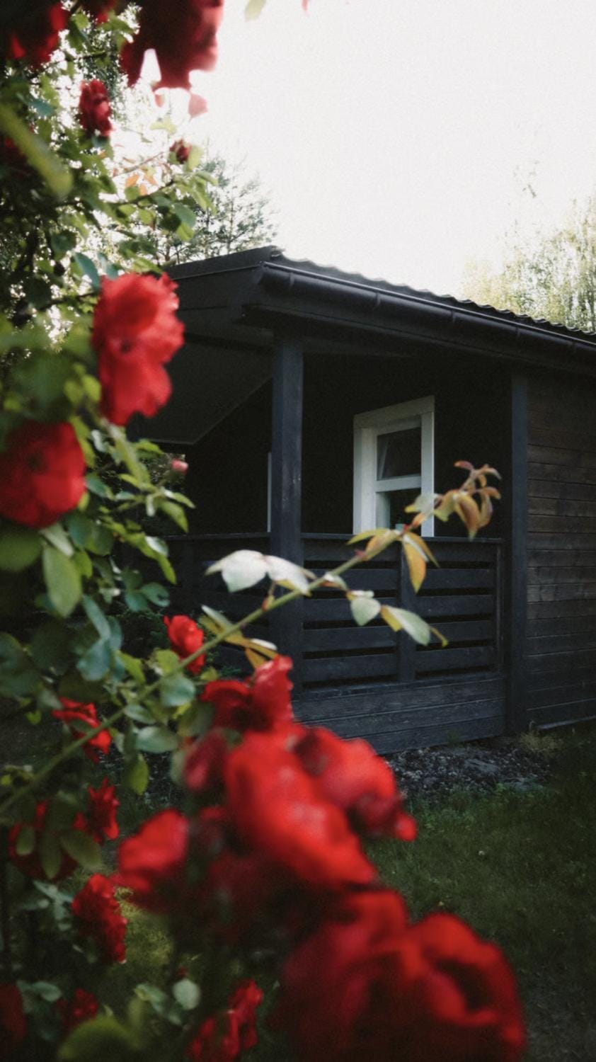 Villa Kurka House in Ukraine
