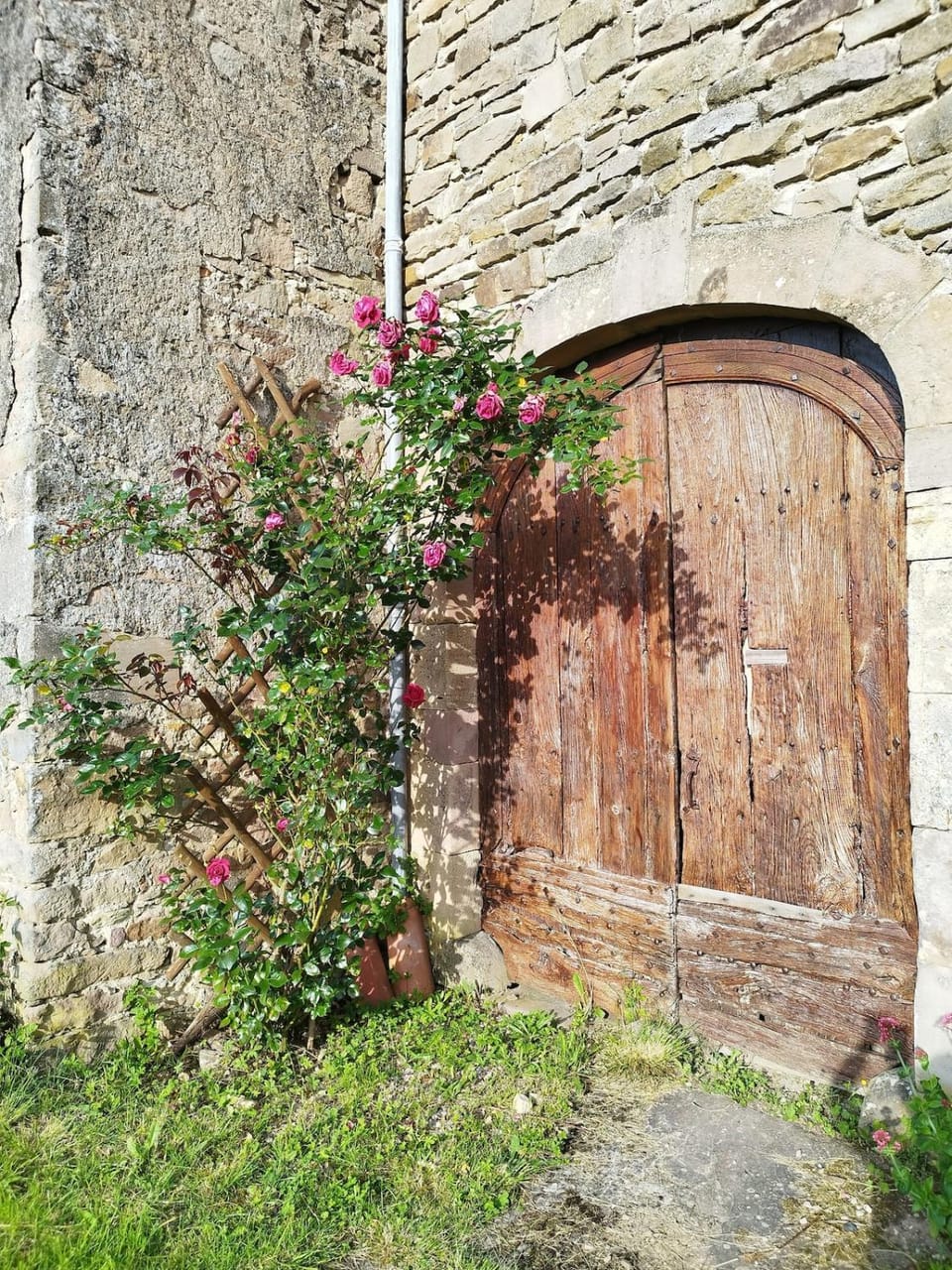 Gîte à la campagne Apartment in Occitanie