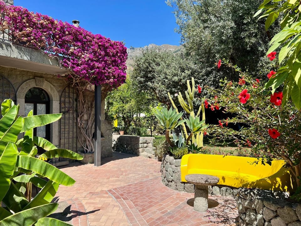 Il Pozzo d'Ischia Adults Only - Bilocale Apartment in Forio