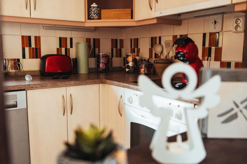 Kitchen or kitchenette, dishwasher, oven, toaster