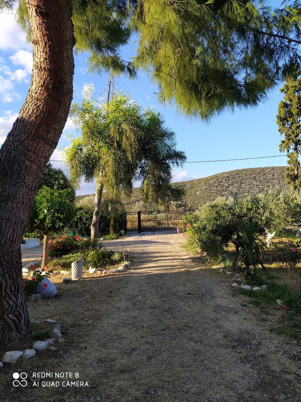 Perivoli, Olive & Pomegranate orchard House in Argolis, Greece