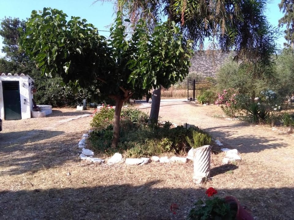 Perivoli, Olive & Pomegranate orchard House in Argolis, Greece