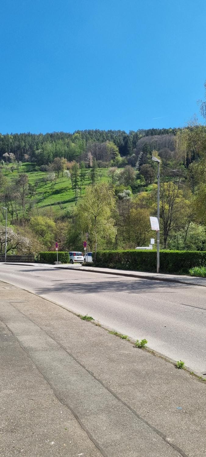 Neighbourhood, Street view