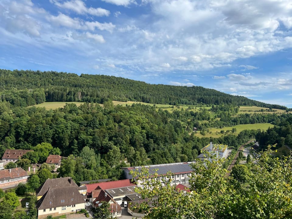 Spring, Day, Natural landscape