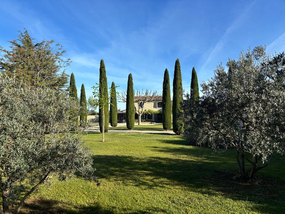 Property building, Garden, Garden