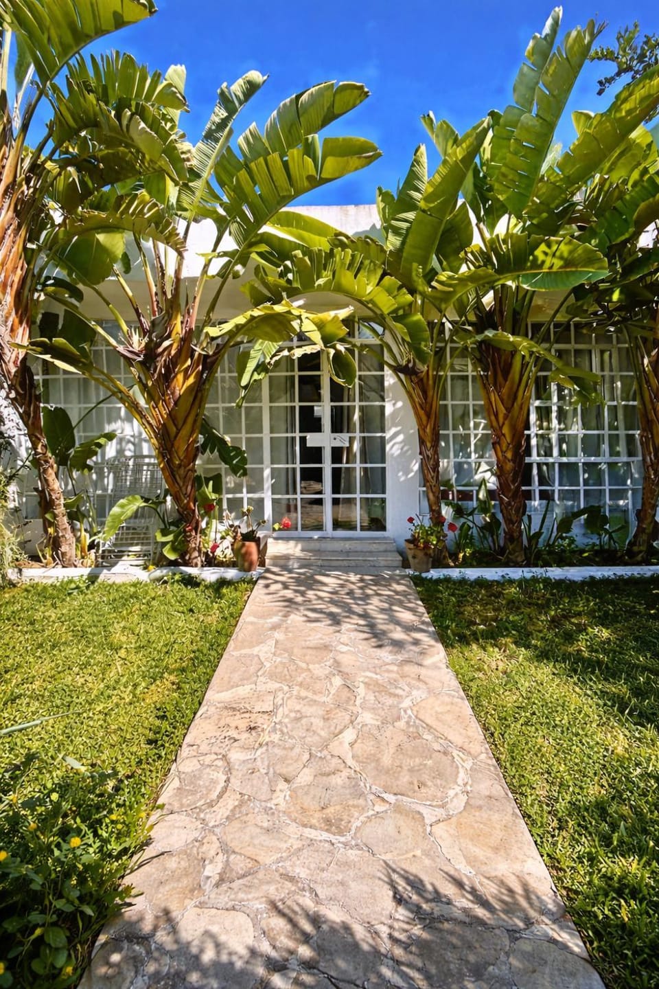 Maison avec Jardin Privé et Parking Hammamet House in Hammamet