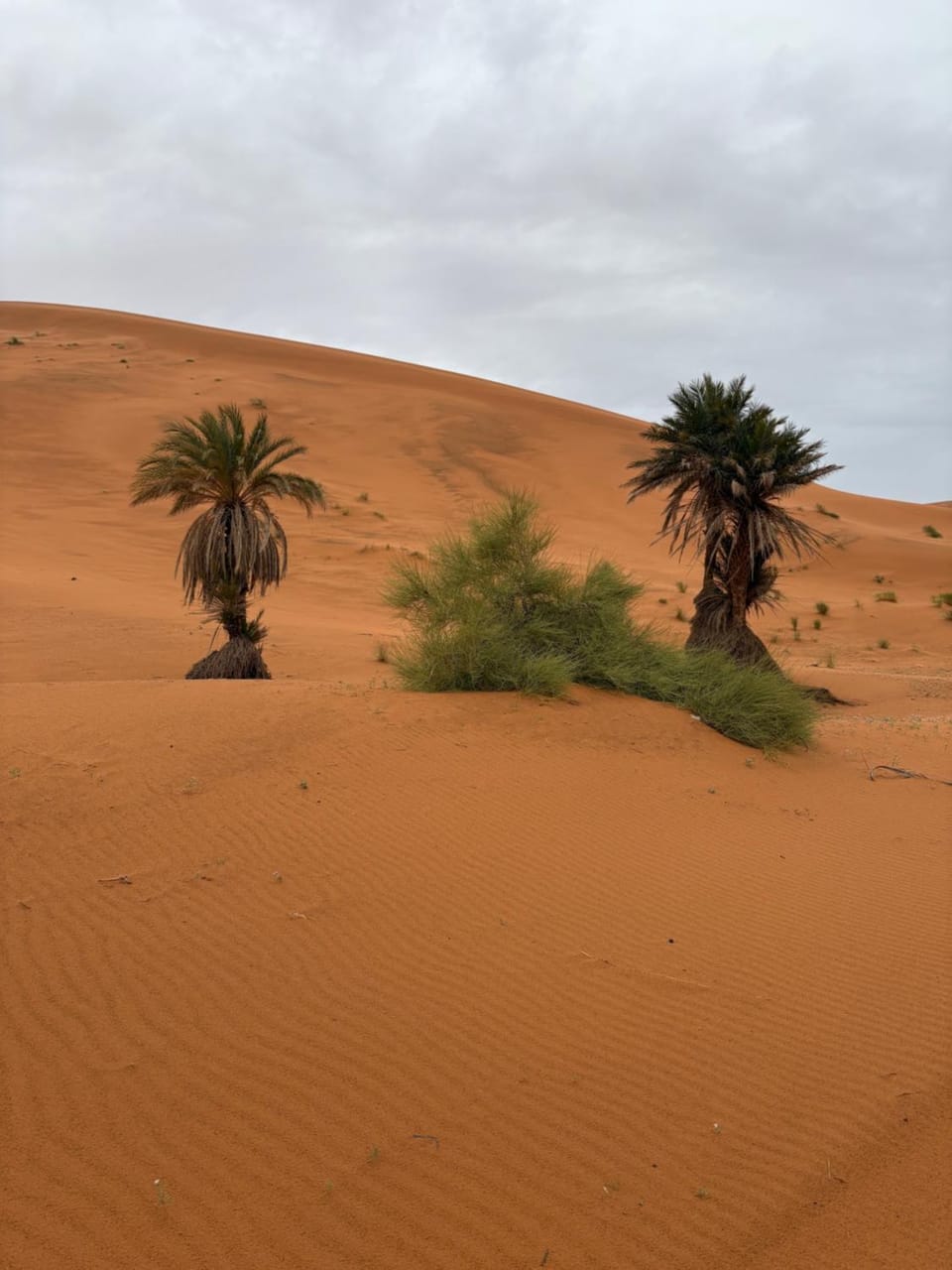 4x4 trip overdunse Resort in Morocco