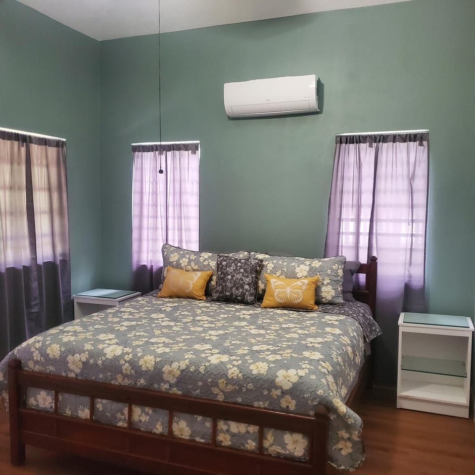 Island Vibes 2 Bedrooms1Bath Apartment in Caribbean