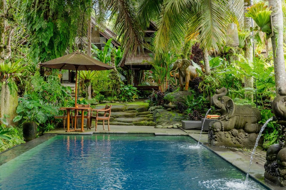 Pool view, Swimming pool