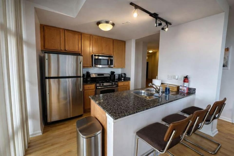 Grant Park 2BR Condo with Balcony Skyline View & Gym in Chicago Downtown Apartment in South Loop