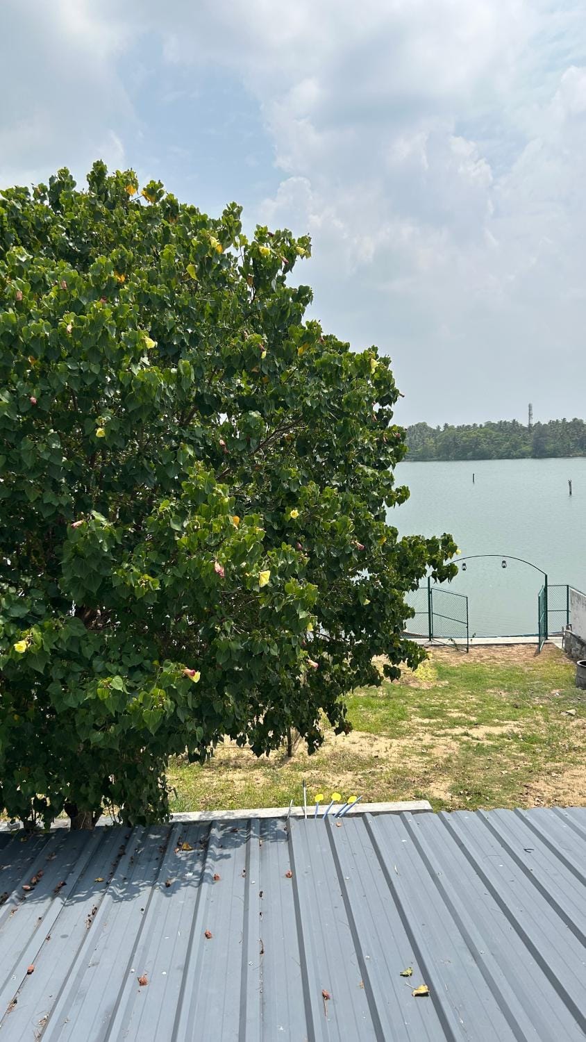 Athulya Tropical Paradise Vacation rental in Kerala