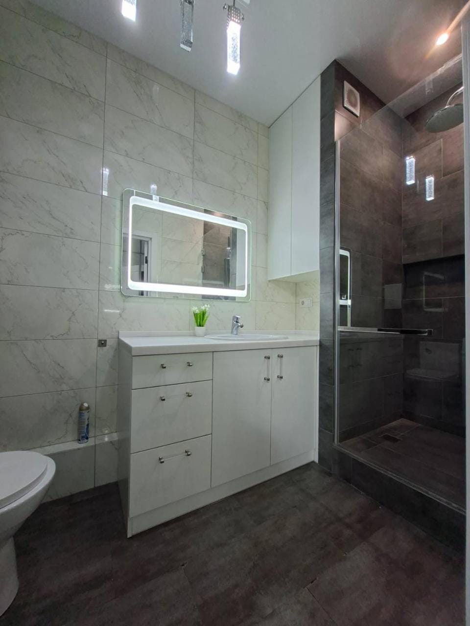 Shower, Toilet, Bathroom