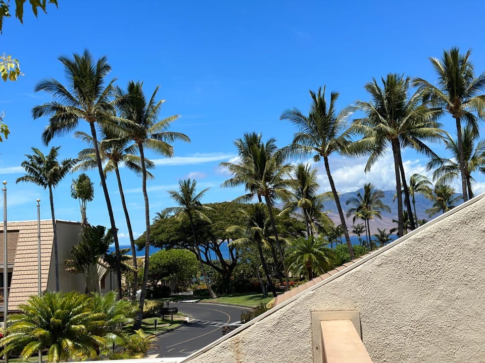 Maui Kamaole #C-206 Great Location, Spacious, Tropical Garden View, Full A/C Apartment in Wailea