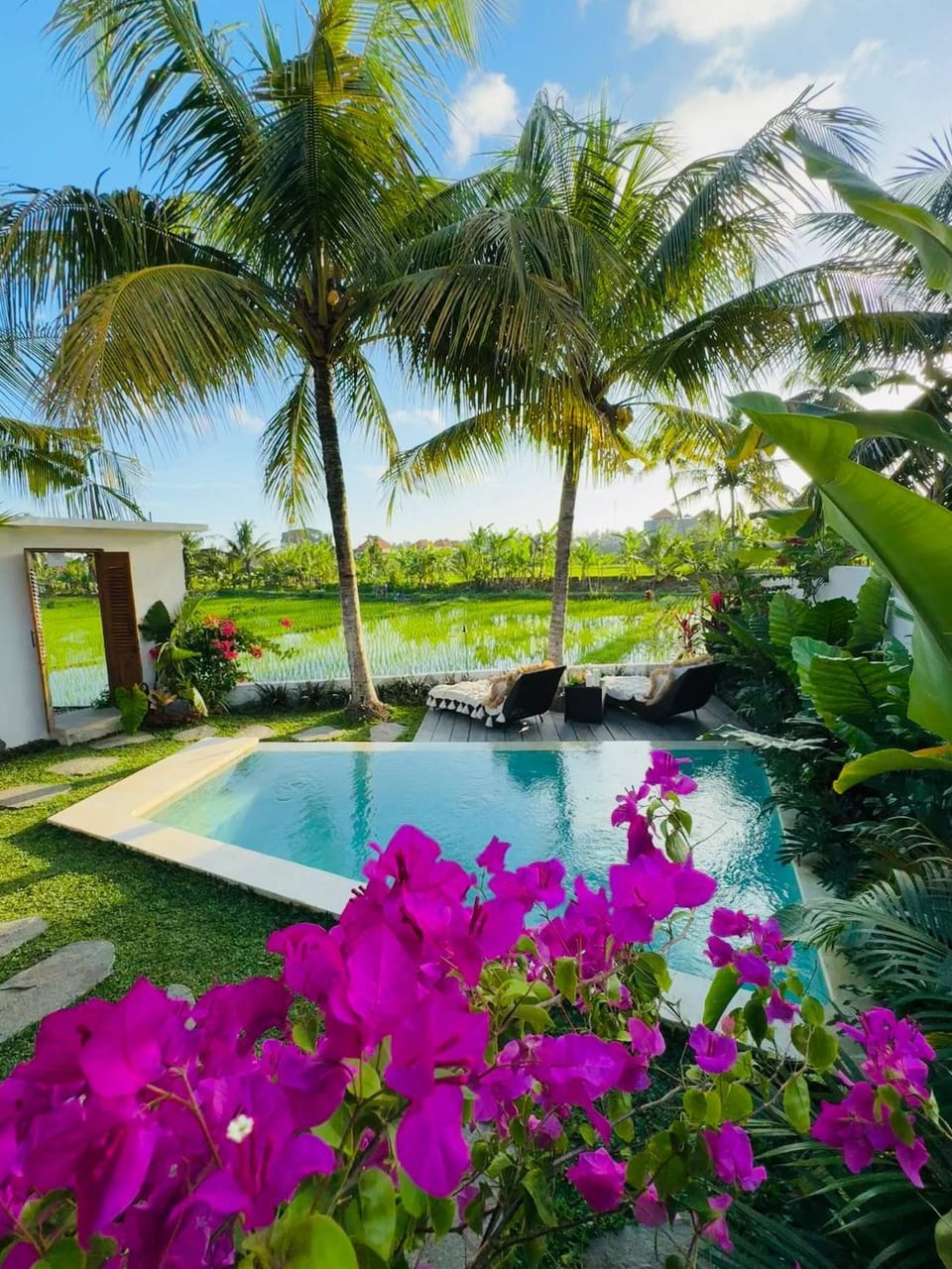 Summer, Garden, Swimming pool