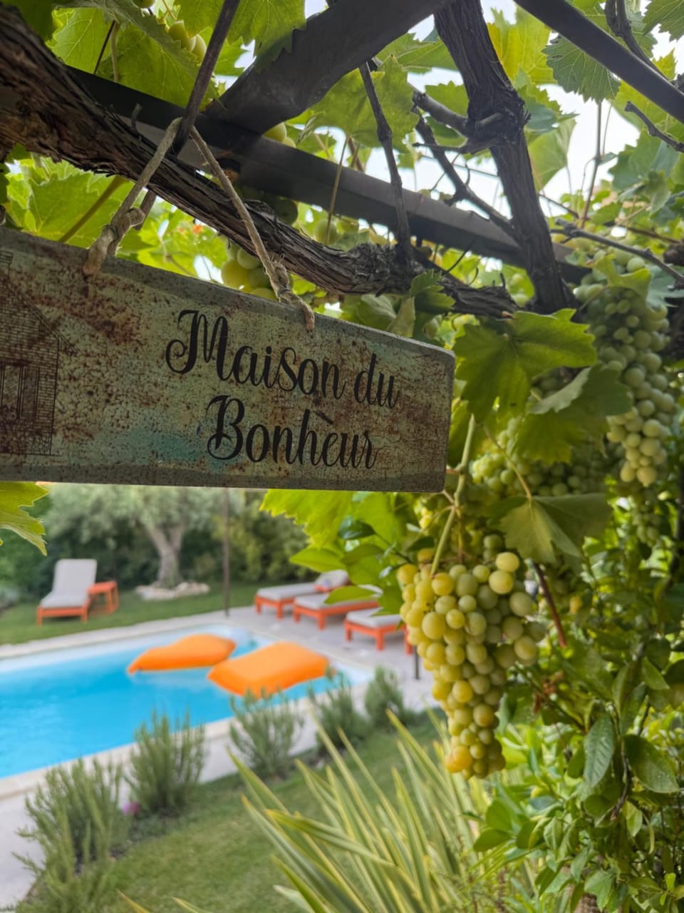 Property logo or sign, Natural landscape, Swimming pool