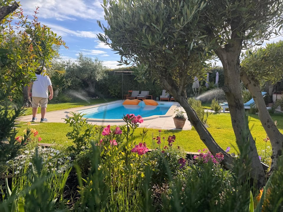 Natural landscape, Garden, Pool view, Swimming pool