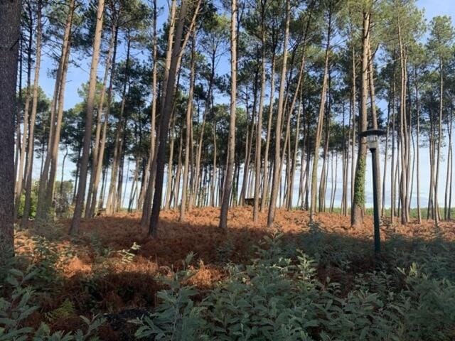 Camping L'Orée des Landes - Mobil home 4 pièces 6 personnes MAE-4834 Campground/ 
RV Resort in Nouvelle-Aquitaine