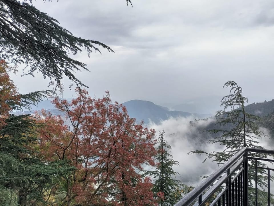 The peace holiday home stay Vacation rental in Himachal Pradesh