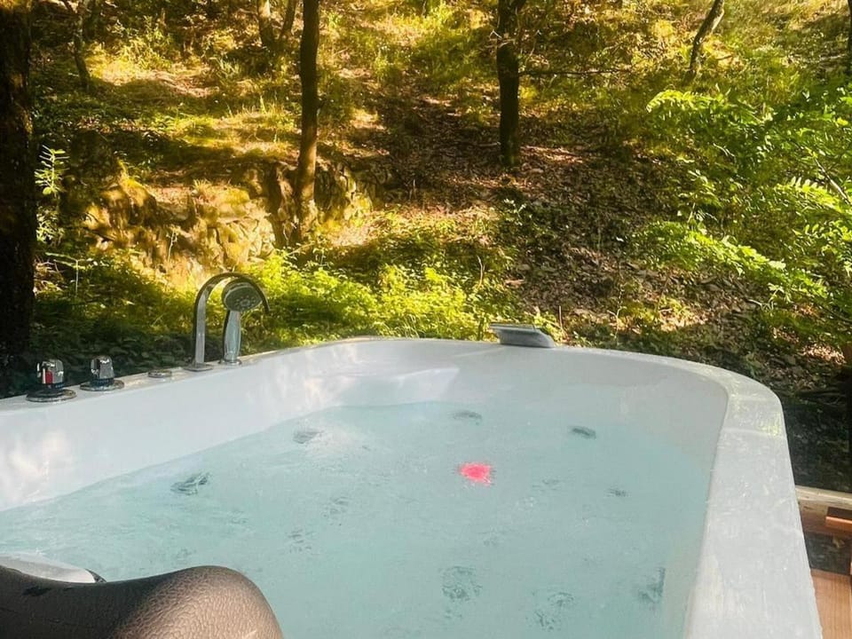 Natural landscape, Hot Tub, Garden view