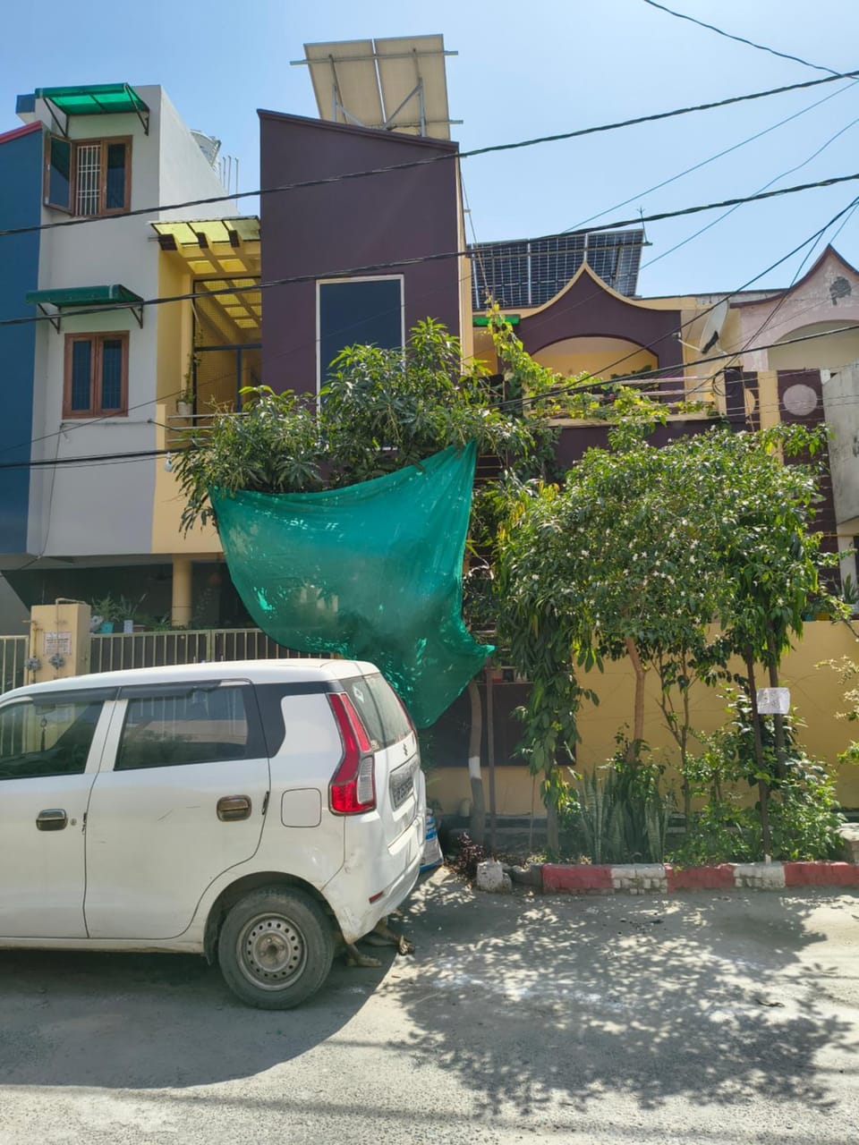 Property building