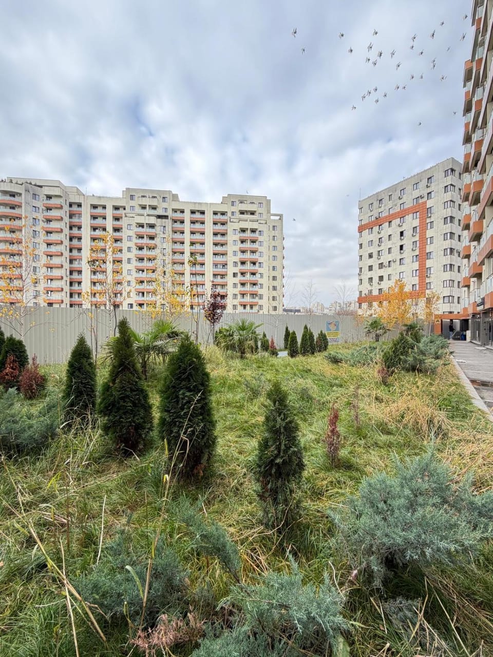 Property building, Spring, Day, Natural landscape, Garden, City view, Garden view