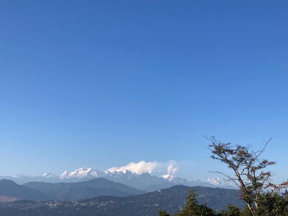 Petal & Pine Homestay Vacation rental in West Bengal