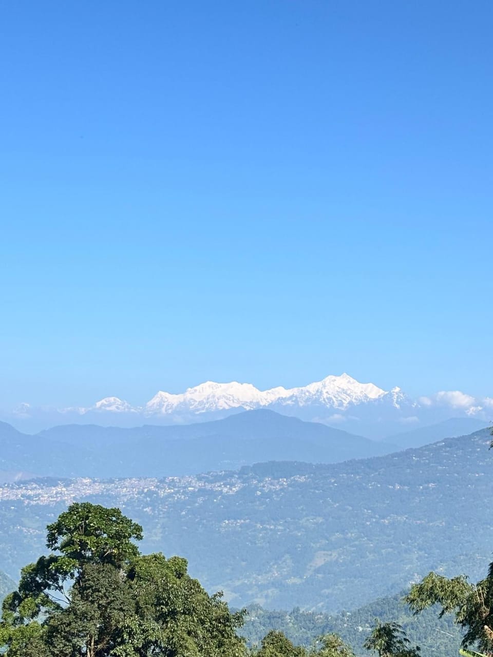 Petal & Pine Homestay Vacation rental in West Bengal