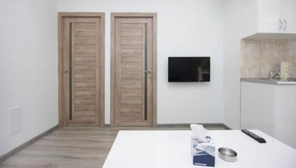 70Excellent apartment with a view of Mount Ararat and a balcony Apartment in Yerevan