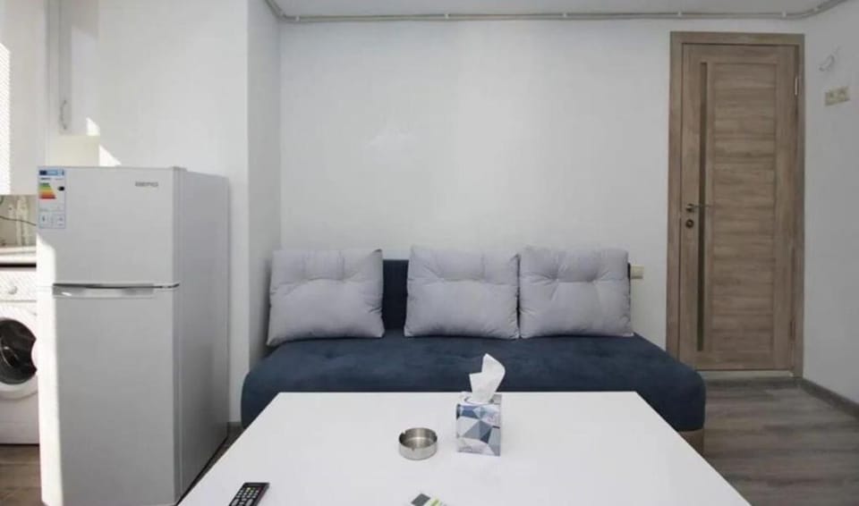 70Excellent apartment with a view of Mount Ararat and a balcony Apartment in Yerevan