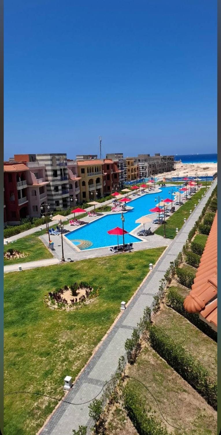 Property building, Spring, Day, Natural landscape, Pool view, Swimming pool, sunbed