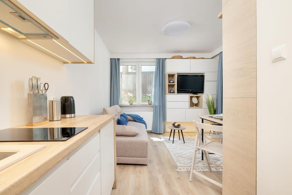 Bed, TV and multimedia, Kitchen or kitchenette, Living room, Photo of the whole room, Seating area