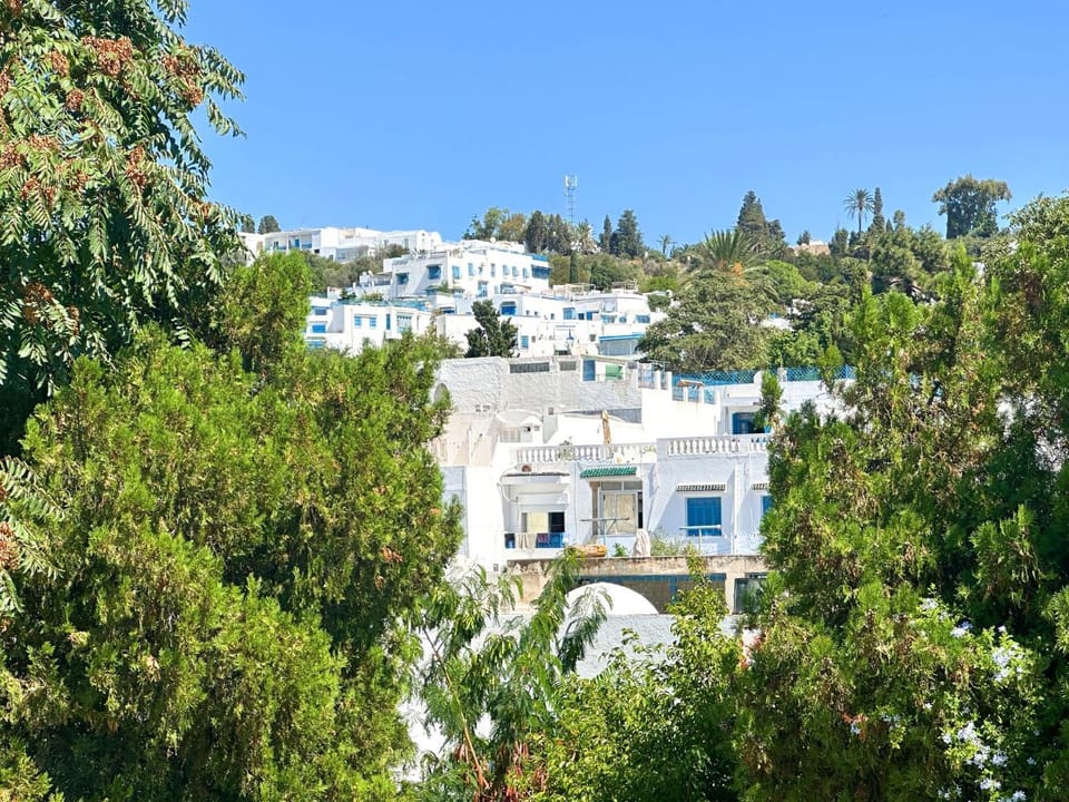 Neighbourhood, Summer