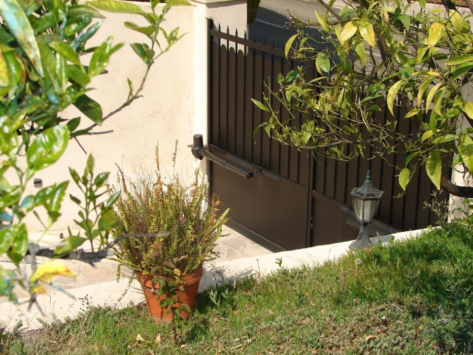 Property building, Garden, Garden view