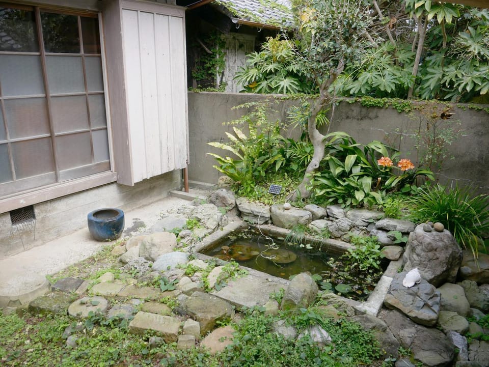 Garden view