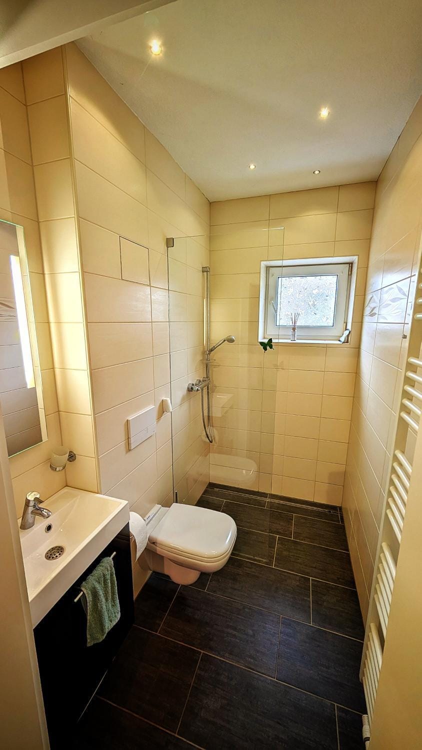 Shower, Toilet, Bathroom, towels