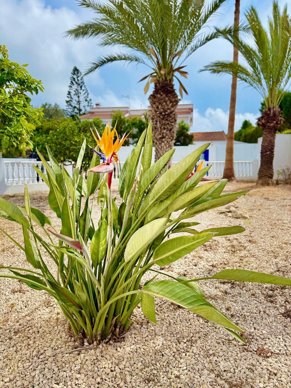 Villa Pomelo - Napa's Secret Escape House in Protaras