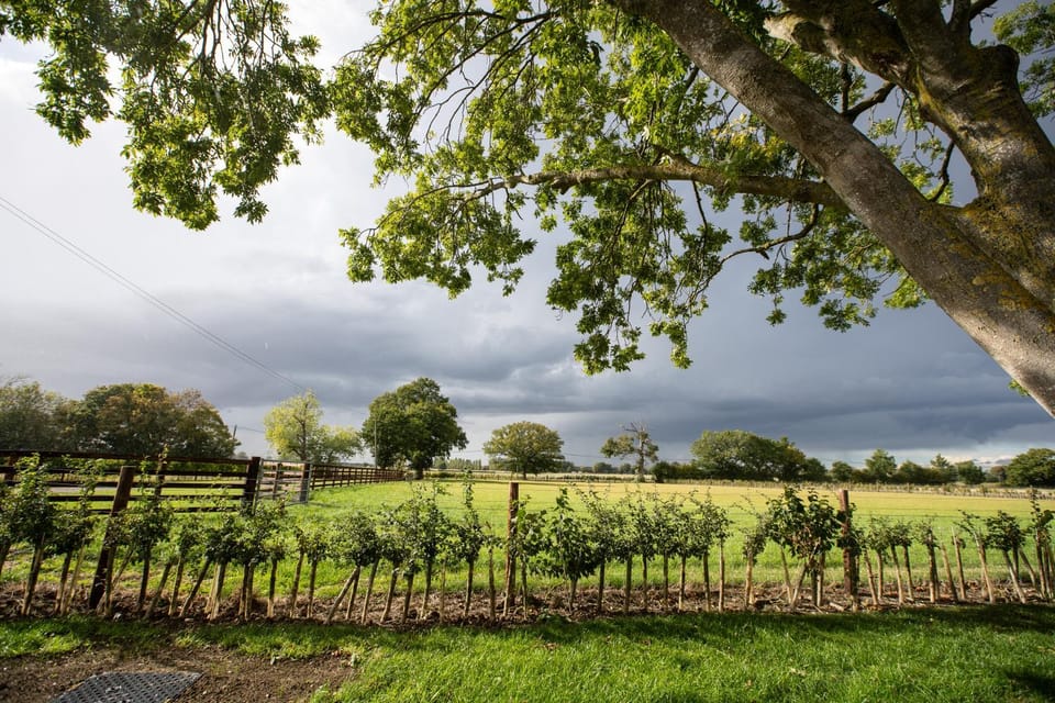 Garden, Garden view