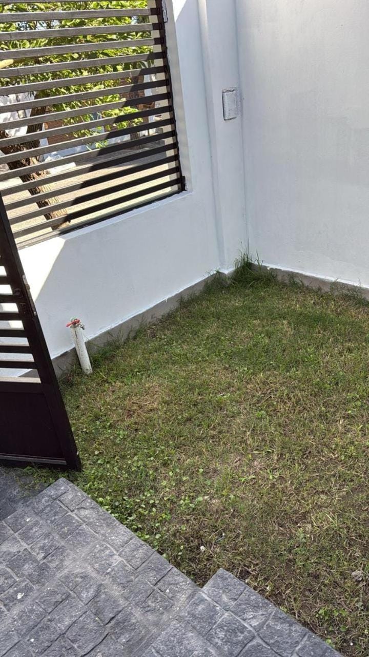 Patio, Day, Garden, Garden view