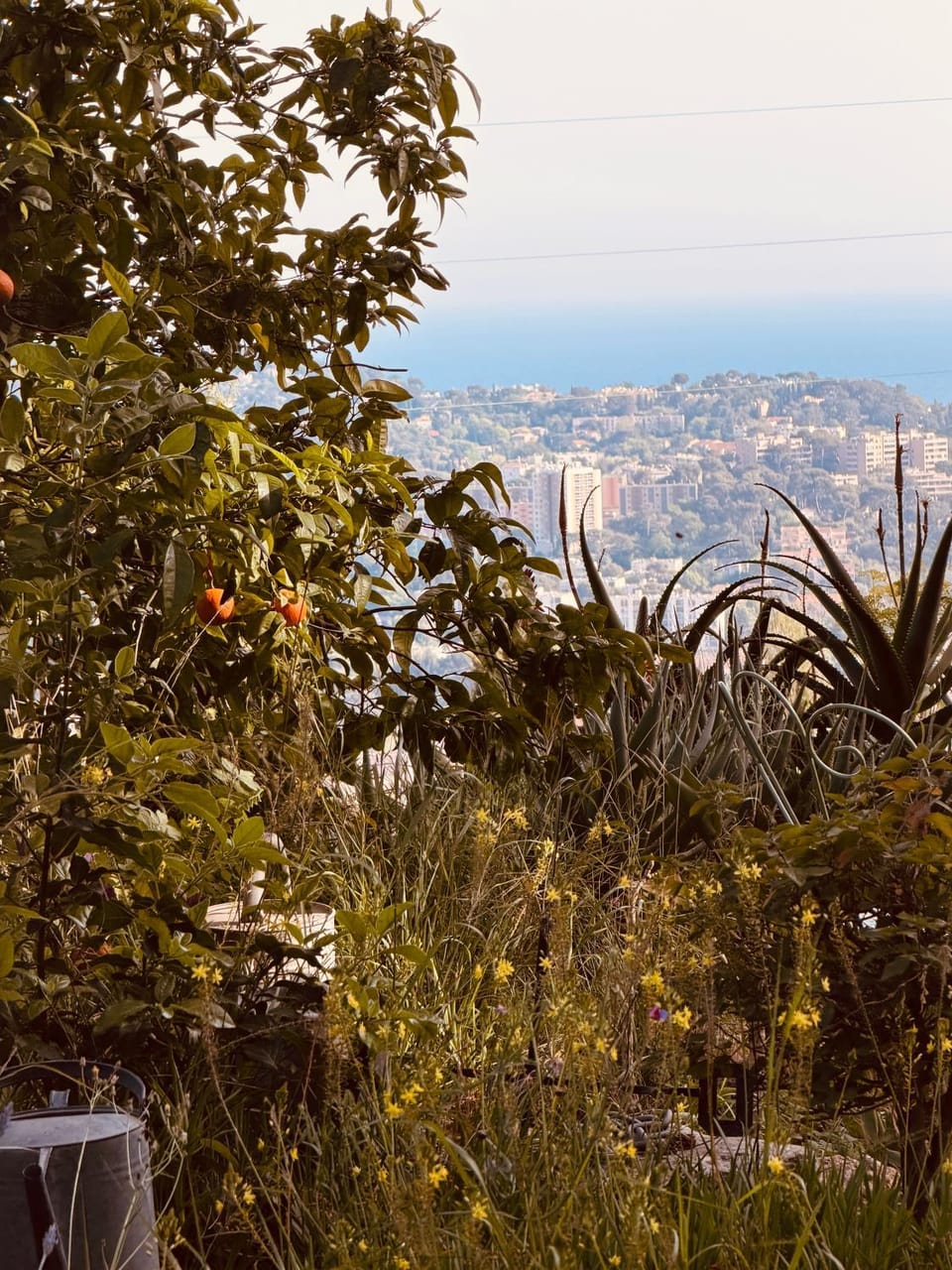 Mountain view, Sea view