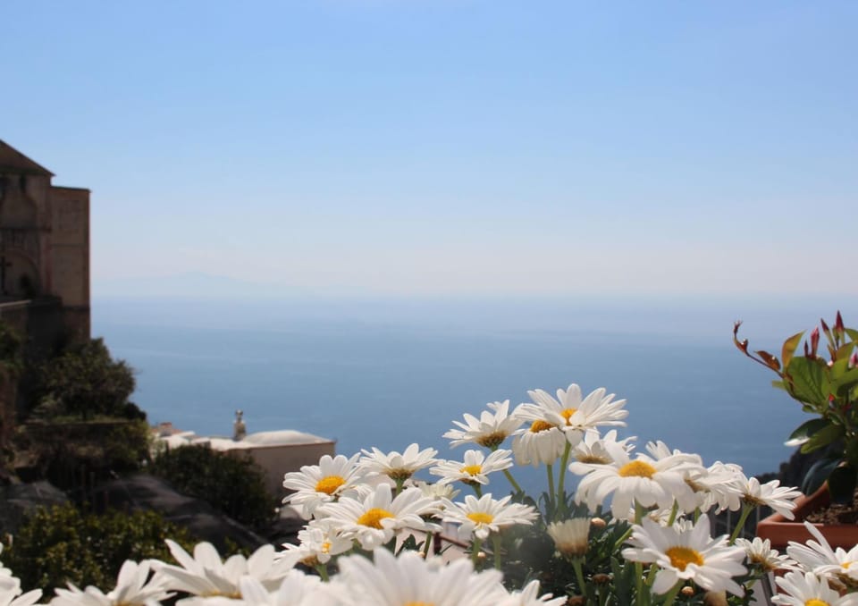 Bird's eye view, Sea view