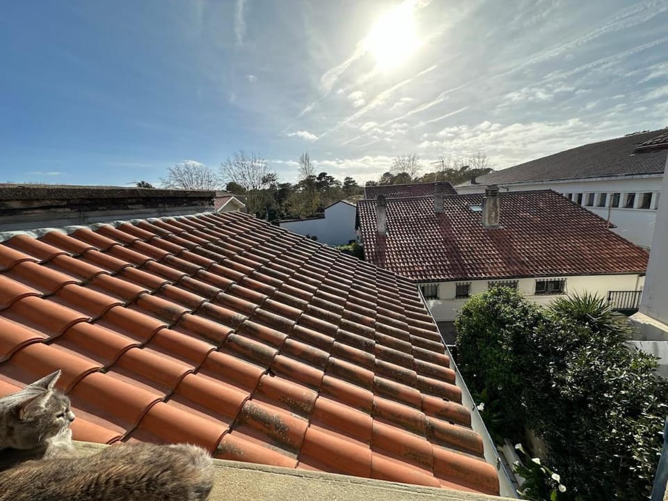 Les volets bleus - Charming townhouse House in Capbreton
