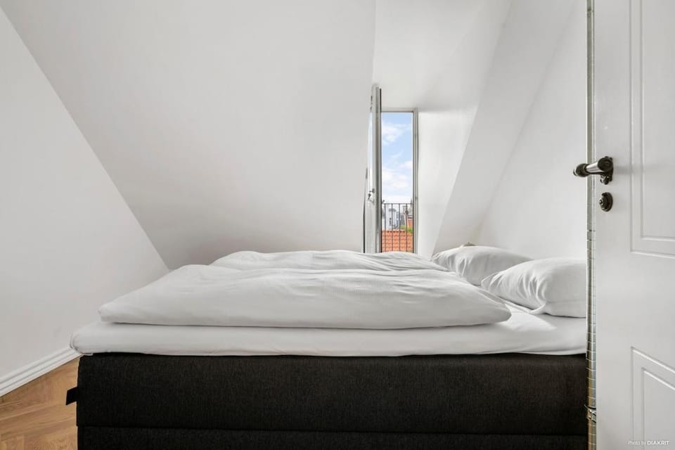 Elegant penthouse with rooftop terrace in Central CPH Apartment in Frederiksberg