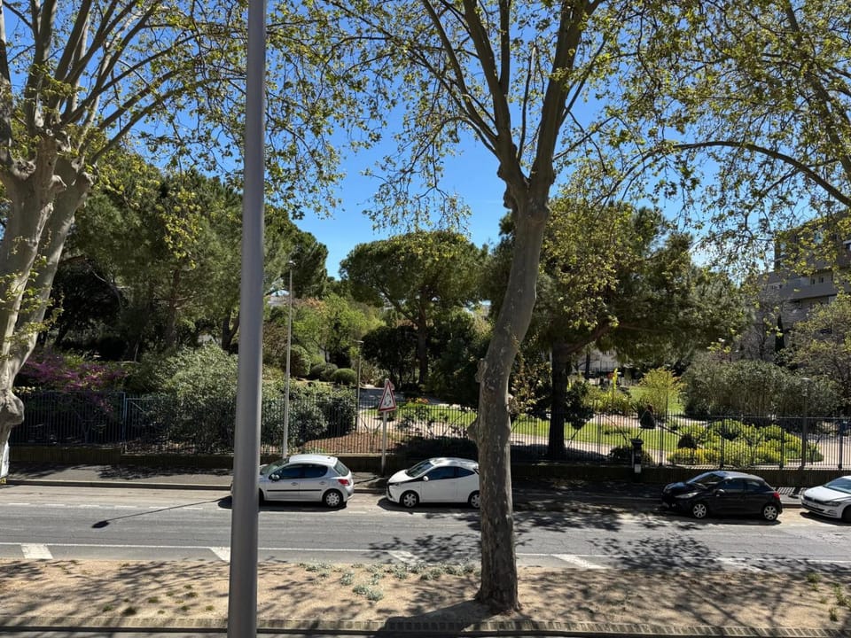 Natural landscape, Street view