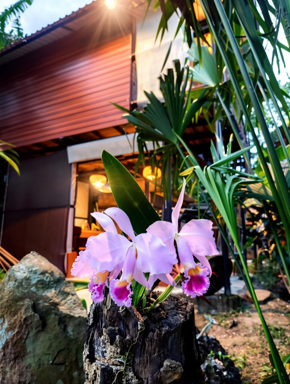 Garden, Garden view