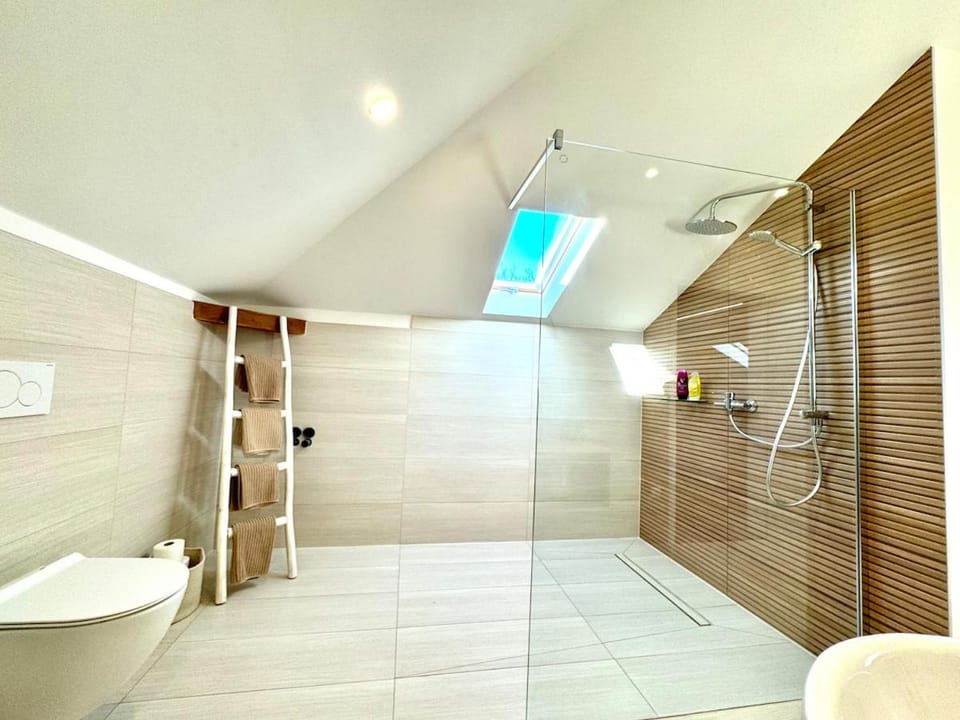 Shower, Toilet, towels