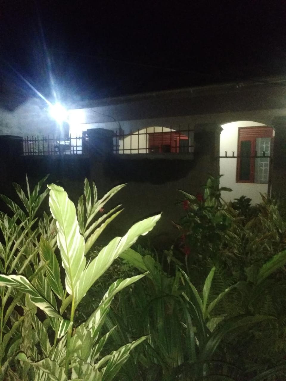 Urban-den House in Kampala